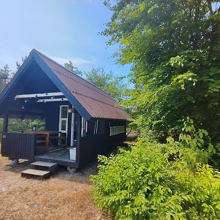 Tranum Klit Camping Og Hytteudlejning Brovst Екстер'єр фото
